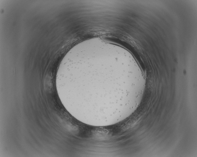 X0000062860215200602101635
