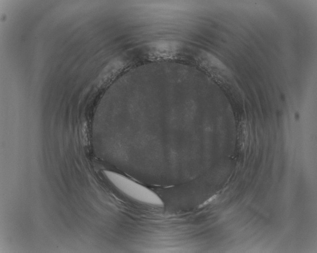 X0000062860224200602101635