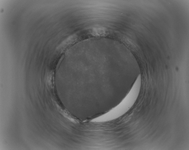 X0000062860233200602101634
