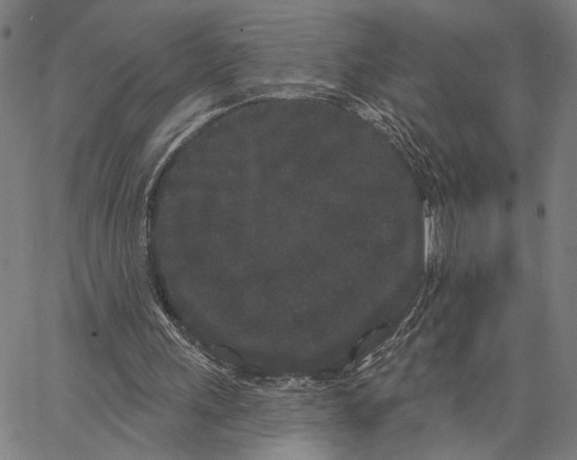 X0000062860243200602101634