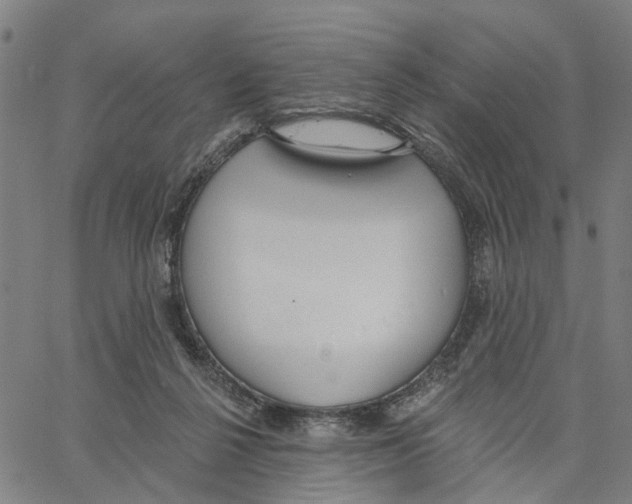X0000062860264200602101634