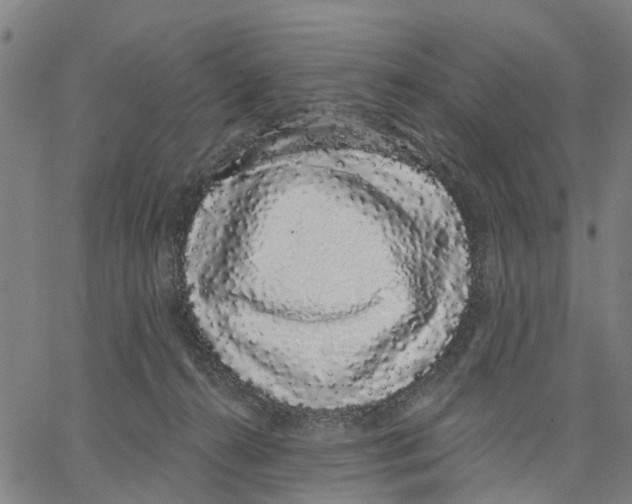 X0000062860272200602101634