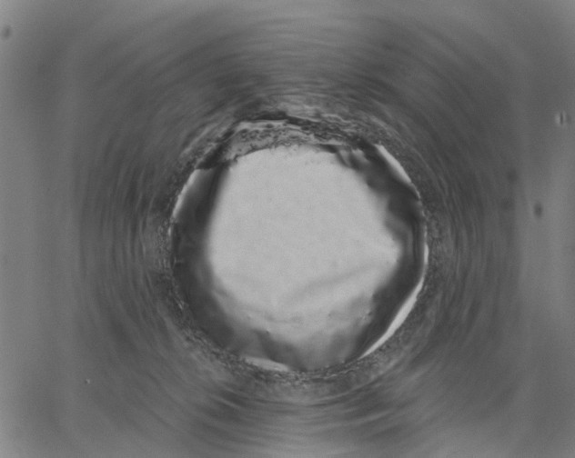 X0000062860276200602101634
