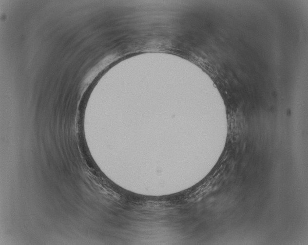 X0000062860292200602101633
