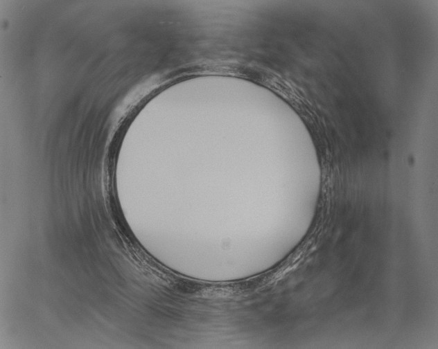 X0000062860294200602101633