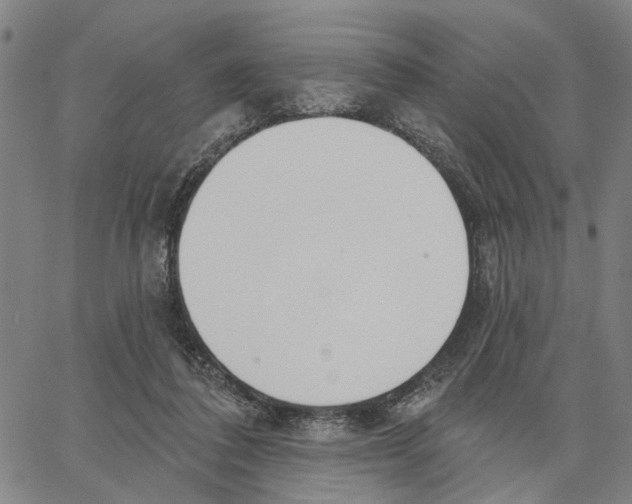 X0000062860308200602101633