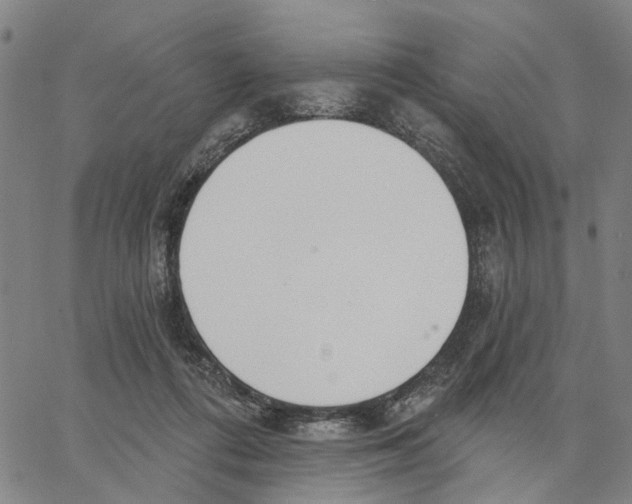 X0000062860312200602101633