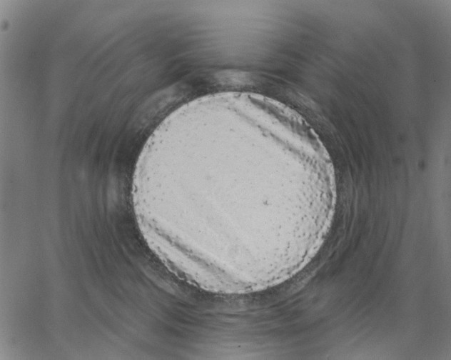 X0000062860330200602101633