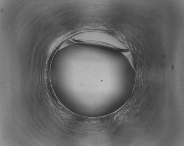 X0000062860340200602101632
