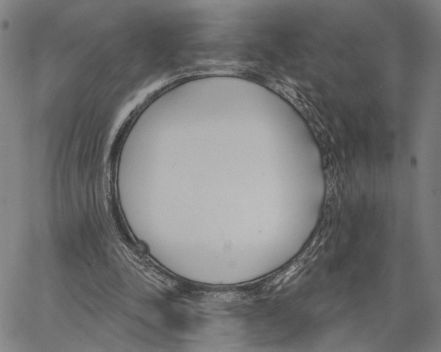 X0000062860342200602101632