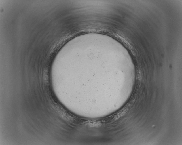 X0000062860353200602101632