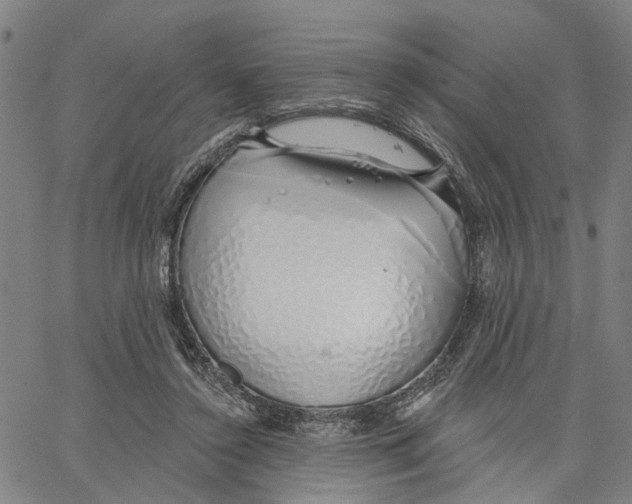 X0000062860356200602101632