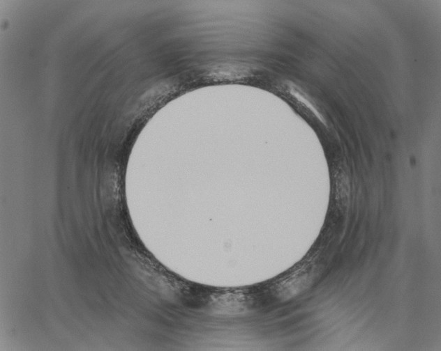 X0000062860362200602101632