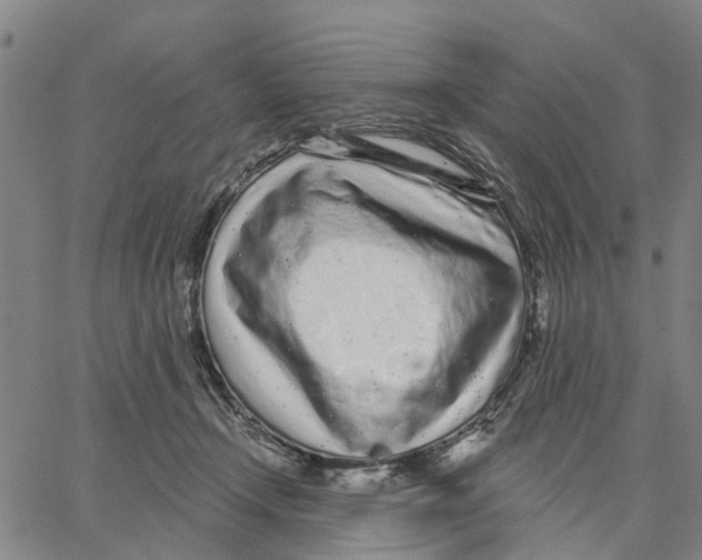 X0000062860366200602101632
