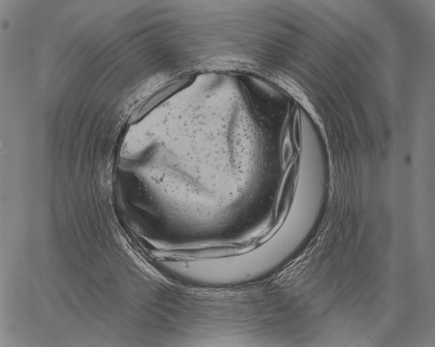 X0000062860389200602101632