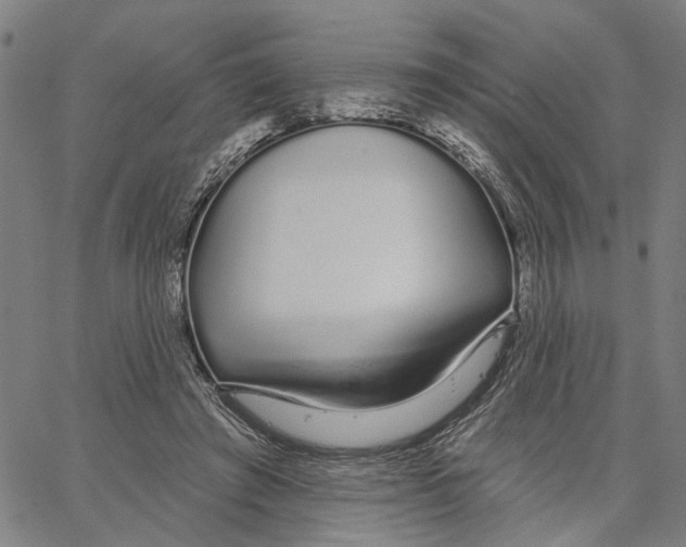 X0000062860401200602101632