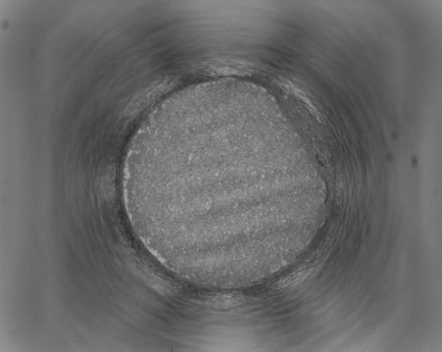 X0000062860402200602101632