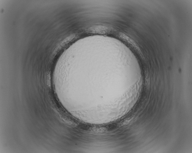 X0000062860403200602101632