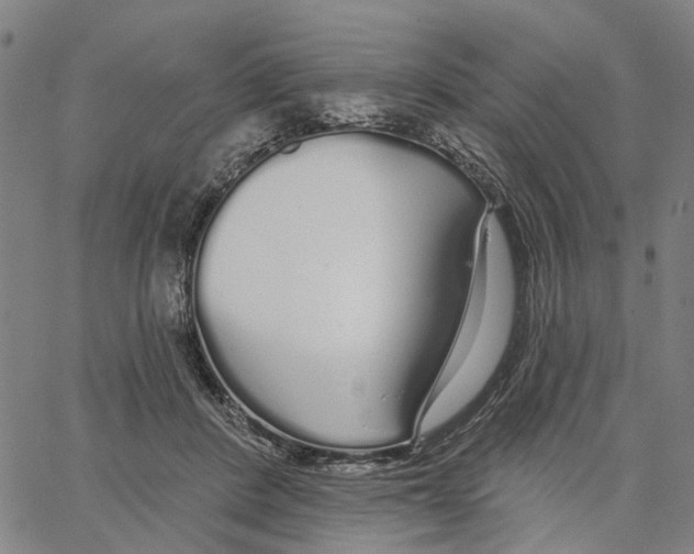 X0000062860408200602101632