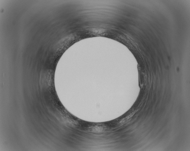 X0000062860412200602101631