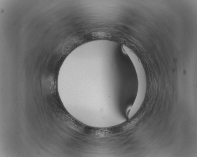 X0000062860420200602101631