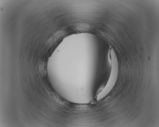 X0000062860428200602101631