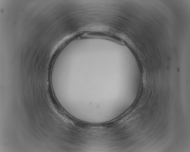 X0000062860438200602101630