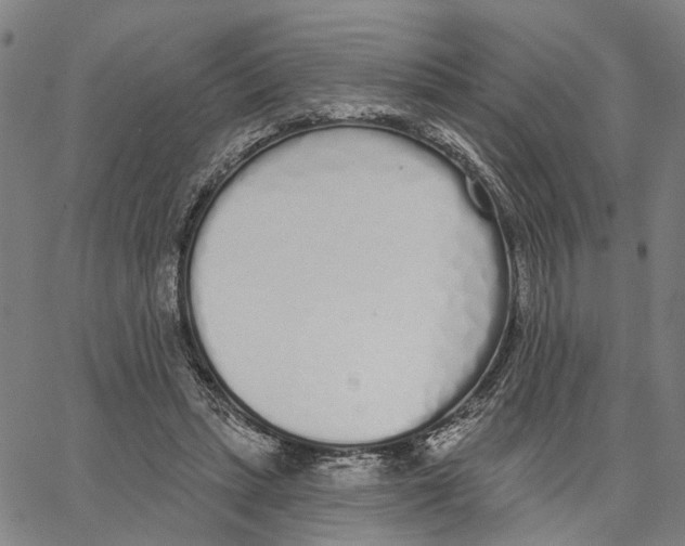 X0000062860447200602101631