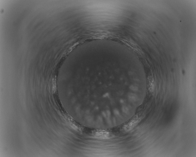 X0000062860471200602101631