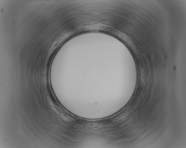 X0000062860486200602101630