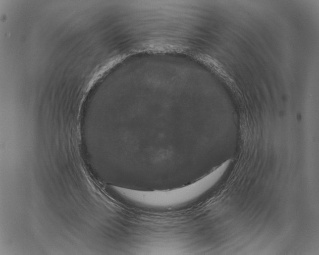 X0000062860488200602101630
