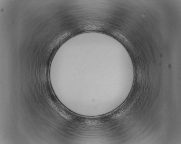 X0000062860490200602101630