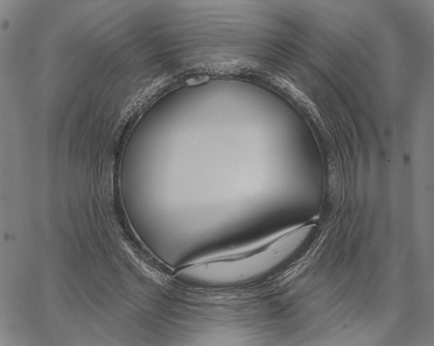 X0000062860493200602101630