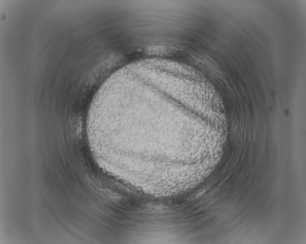X0000062860502200602101630