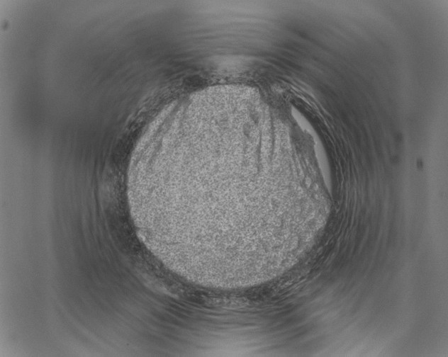 X0000062860503200602101630