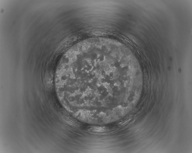 X0000062860507200602101630