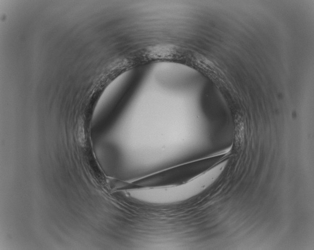 X0000062860508200602101630