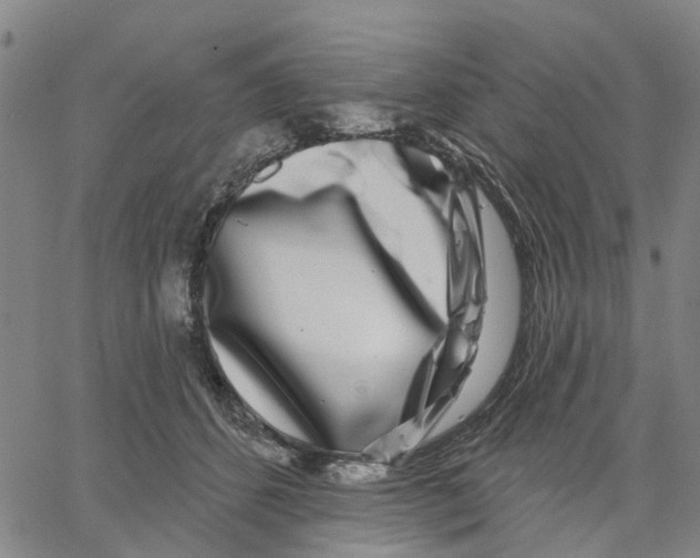 X0000062860512200602101630