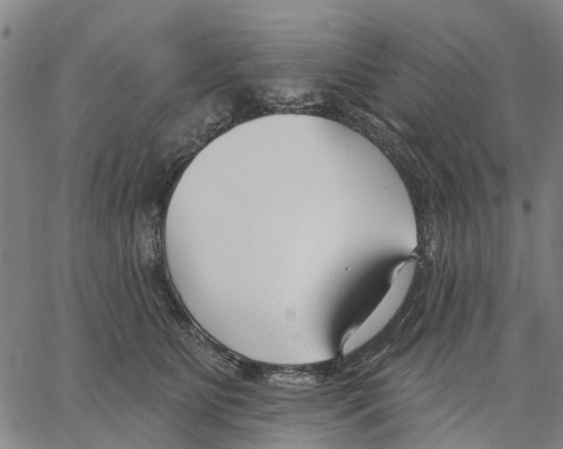 X0000062860515200602101630