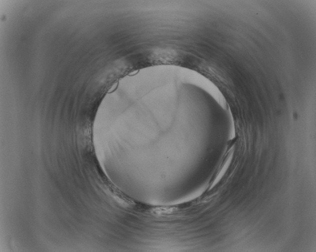 X0000062860526200602101630