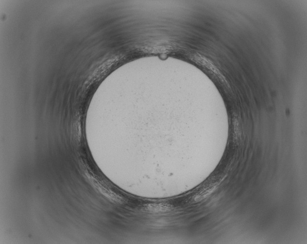 X0000062860541200602101629