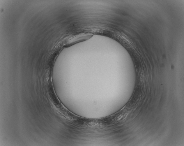 X0000062860546200602101629