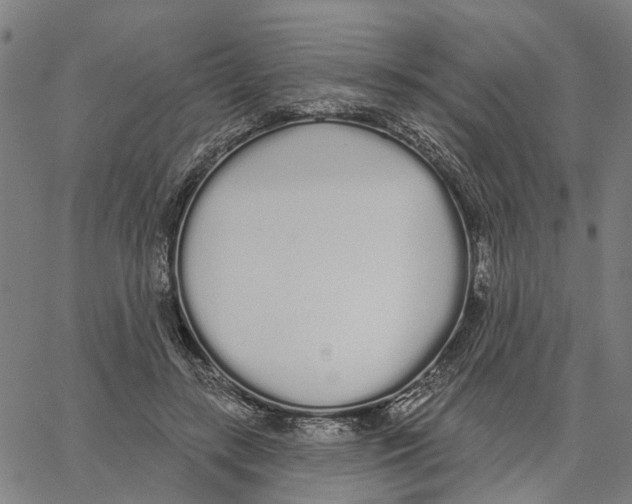X0000062860547200602101629