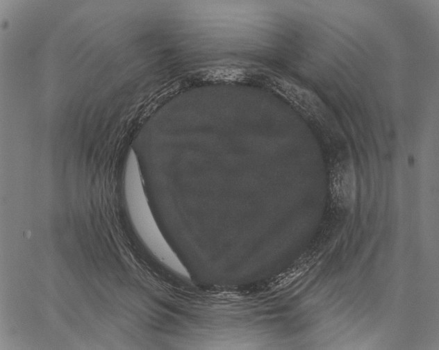 X0000062860551200602101629