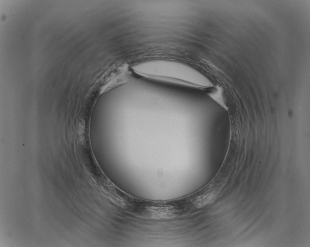 X0000062860556200602101629