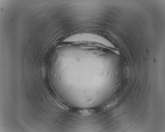 X0000062860558200602101629