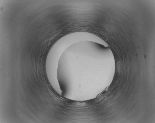 X0000062860570200602101629