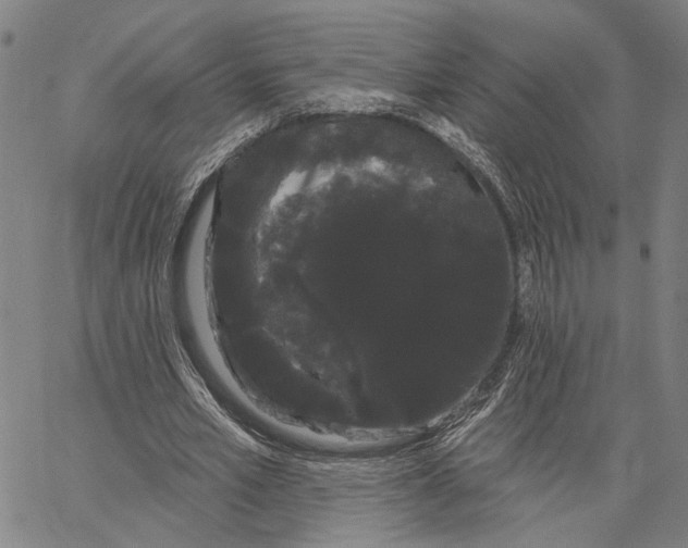 X0000062860581200602101629
