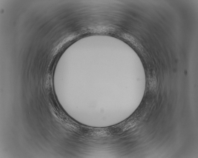 X0000062860583200602101629