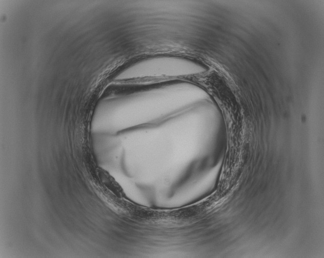X0000062860589200602101629